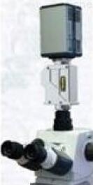 3D显微成像