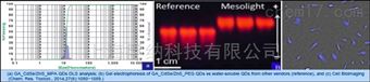 水溶性量子点
