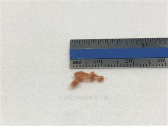 ZrS3 三硫化锆晶体