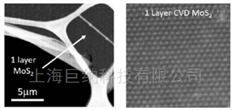 基于二氧化硅衬底的全区域覆盖单层二硫化钼