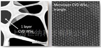 基于蓝宝石衬底的全区域覆盖的单层二硒化钨