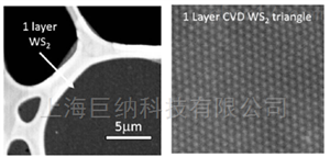 基于蓝宝石衬底的全区域覆盖的单层二硫化钨