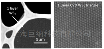 基于蓝宝石衬底的全区域覆盖的单层二硫化钨