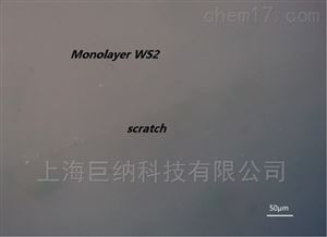 （巨纳）单层二硫化钨连续薄膜-衬底可选