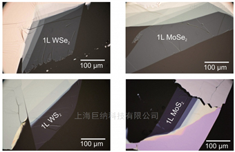 >75*75um2DNext大面积机械剥离单层材料（WSe2, WS2）