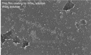 Monolayer WSe2 Solution 单层二硒化钨溶液